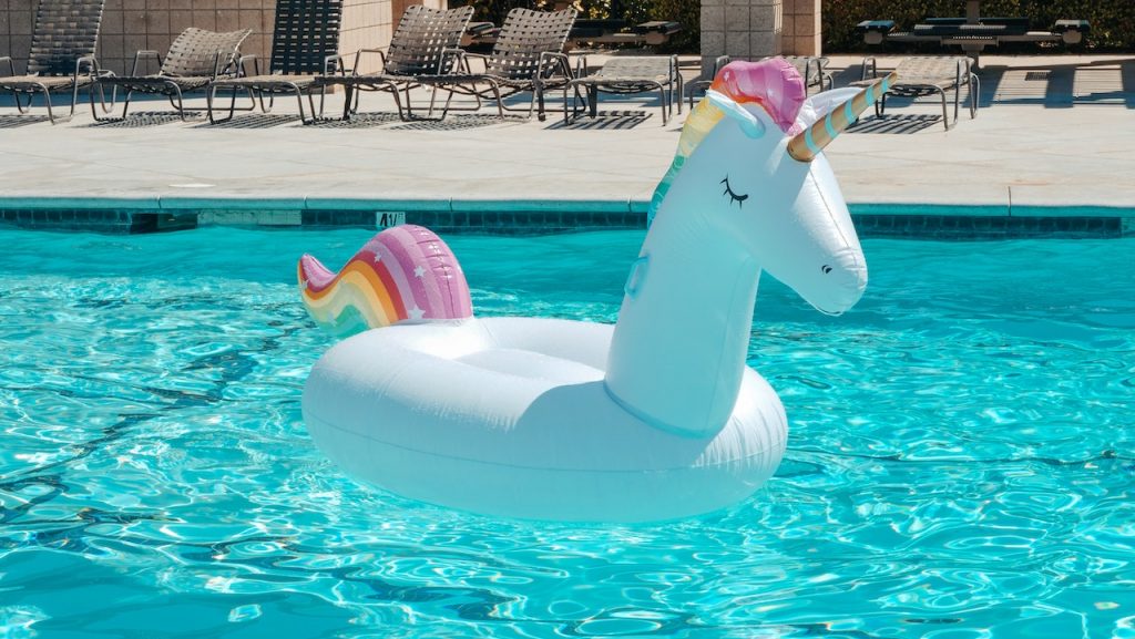 "GUnicorn - representative image of unicorn. It is an application server used for Python based frameworks.

Photo by Kindel Media" title="Representative image"